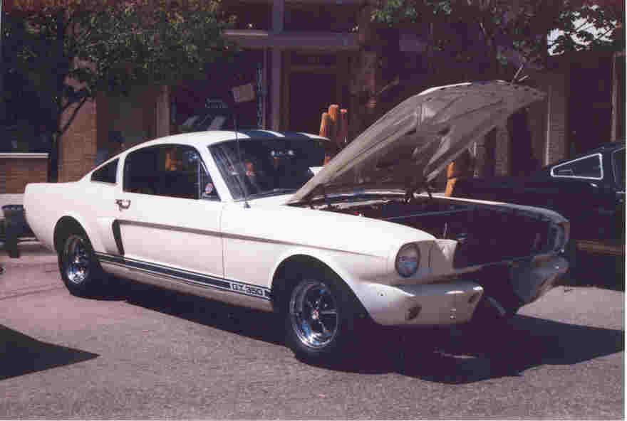 65 GT350