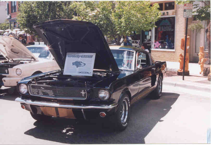66 Hertz GT350
